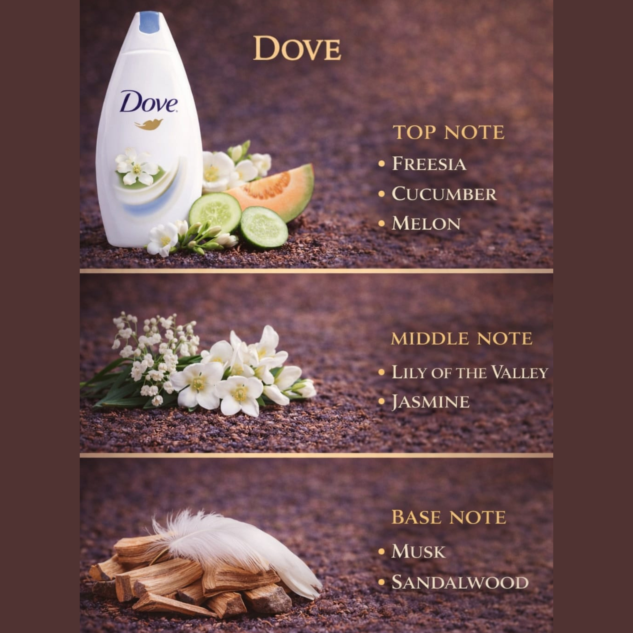 Dove